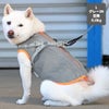豆柴6.0kg(首31/胴45/丈33cm)のラテちゃんはグレー26のLを着用