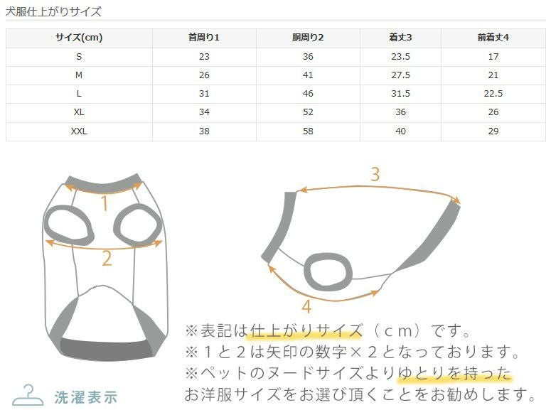 サイズ表