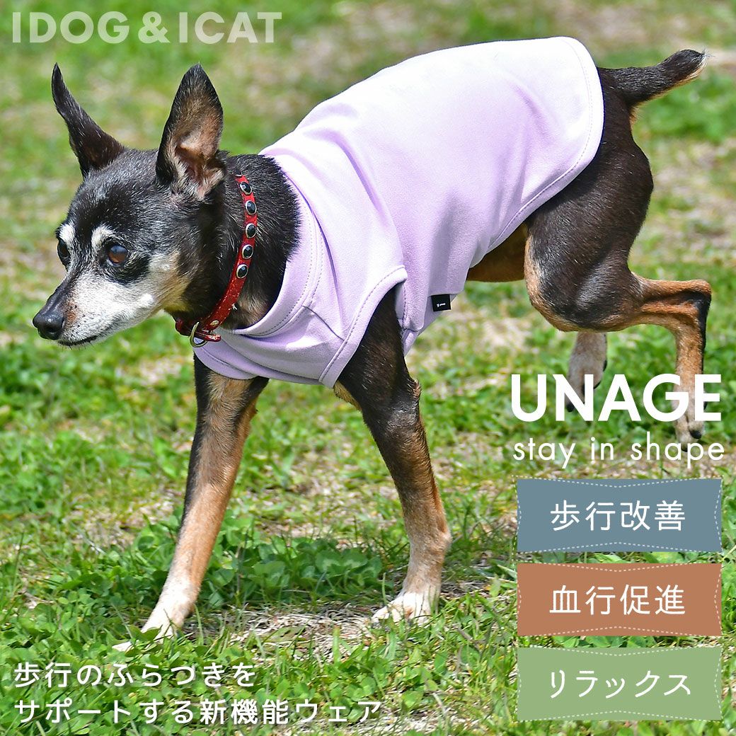iDog UNAGE ウェルネスウェア プリントタンク アイドッグ|ペット 犬 服