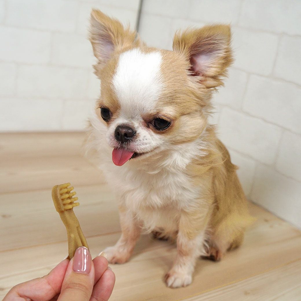 ウィムズィーズハブラシXS超小型犬(体重2-7kg)7本。