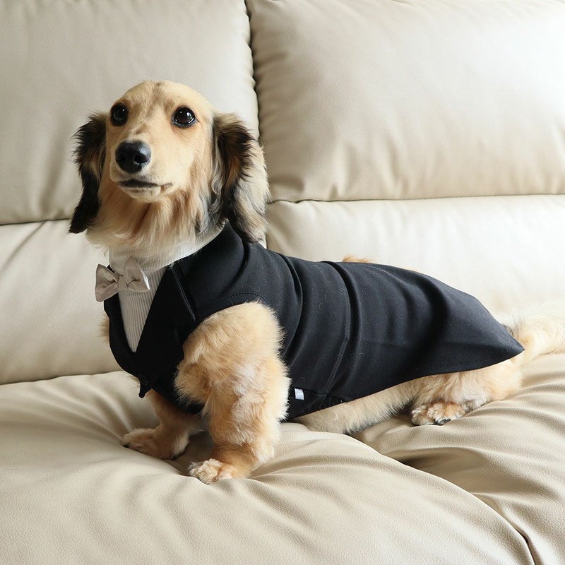 タートルネックセーター 犬服 ダックスフンド タキシード ミニチュアダックス セーターの通販