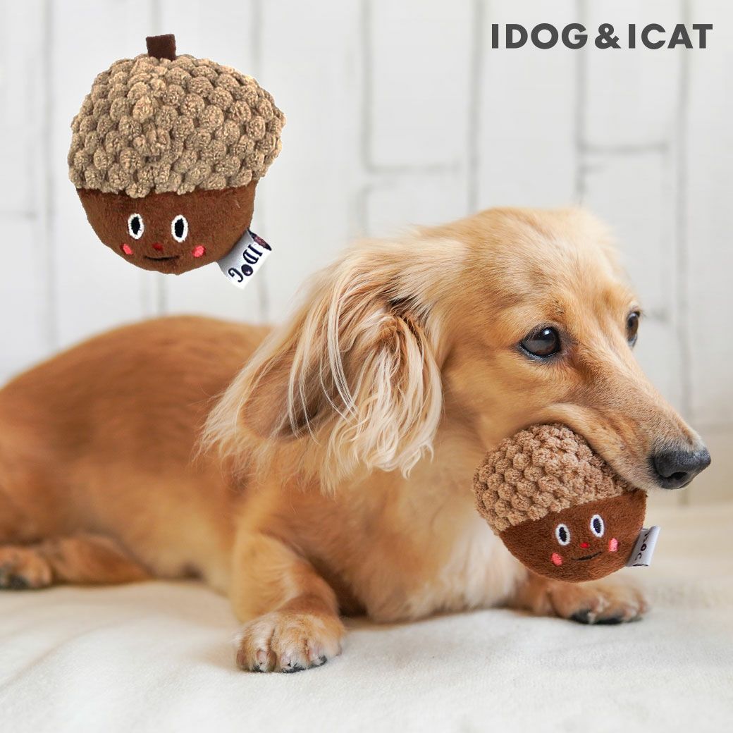 iDog どんぐり 鈴入り アイドッグ-犬猫ペット用品通販 IDOG&ICAT