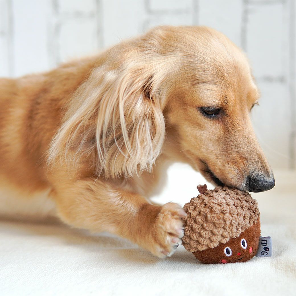 iDog どんぐり 鈴入り アイドッグ-犬猫ペット用品通販 IDOG&ICAT
