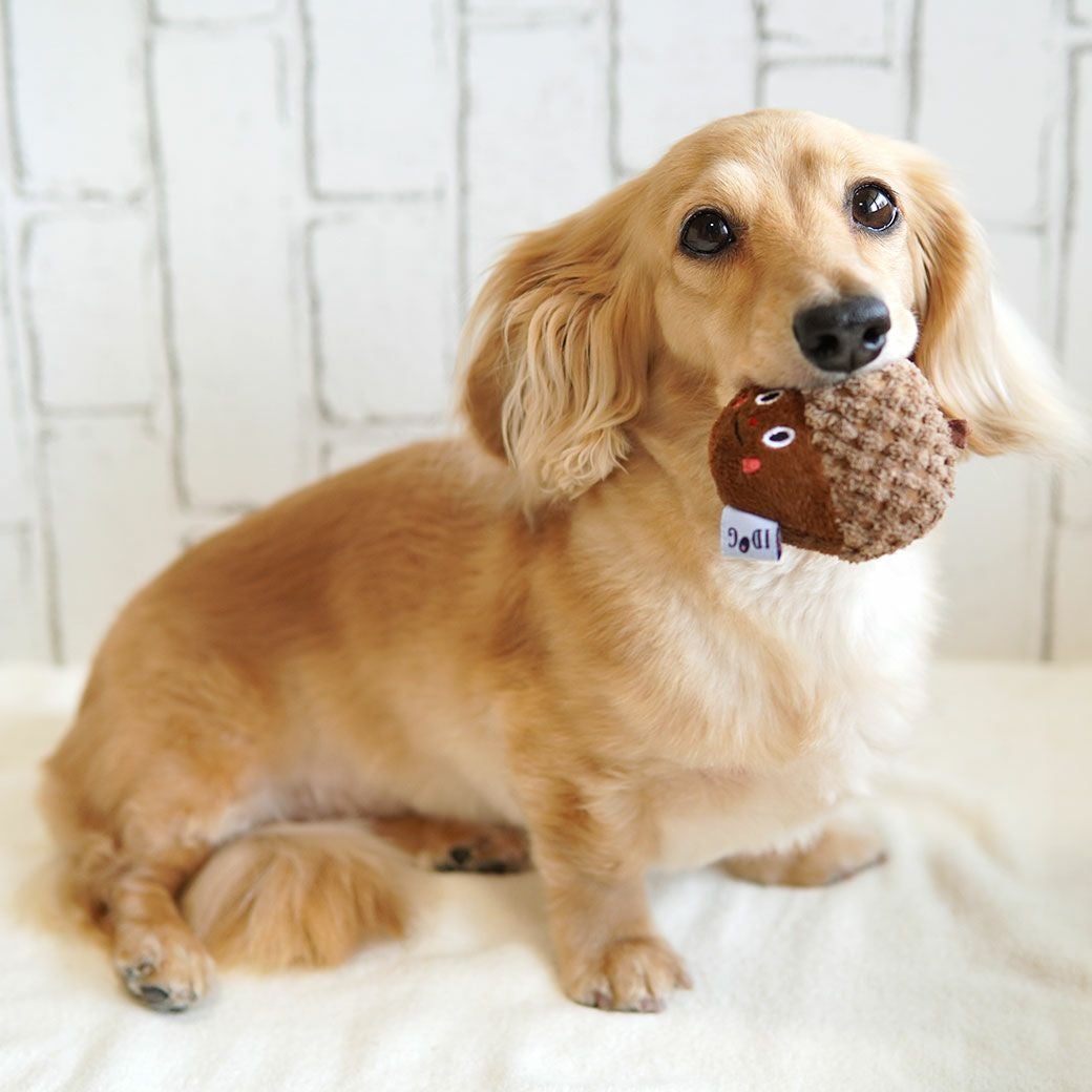 iDog どんぐり 鈴入り アイドッグ-犬猫ペット用品通販 IDOG&ICAT