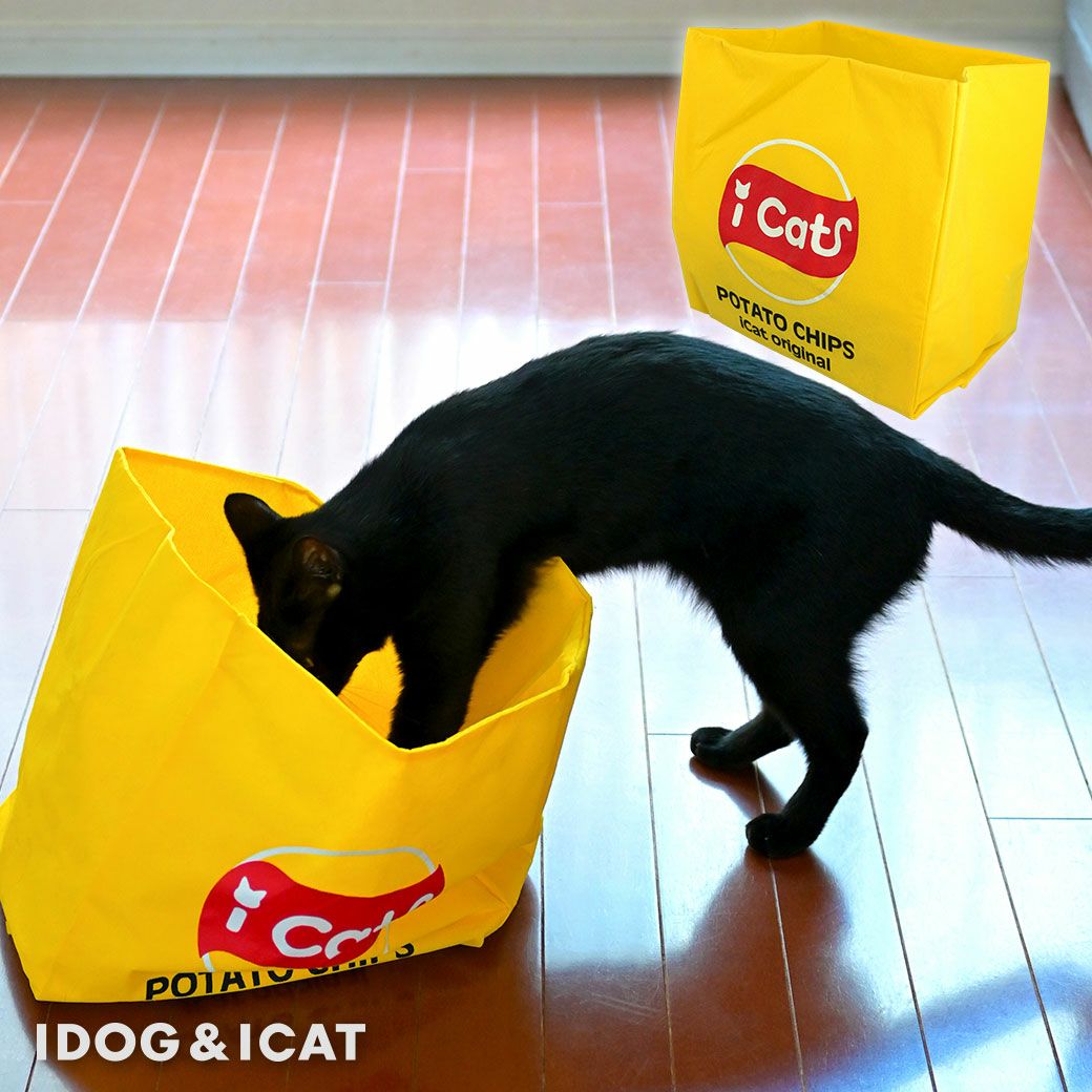ベルト　捨て猫 よろずやマルシェ本店 | 常陸化工 ファインキャット おからの猫砂 エコ