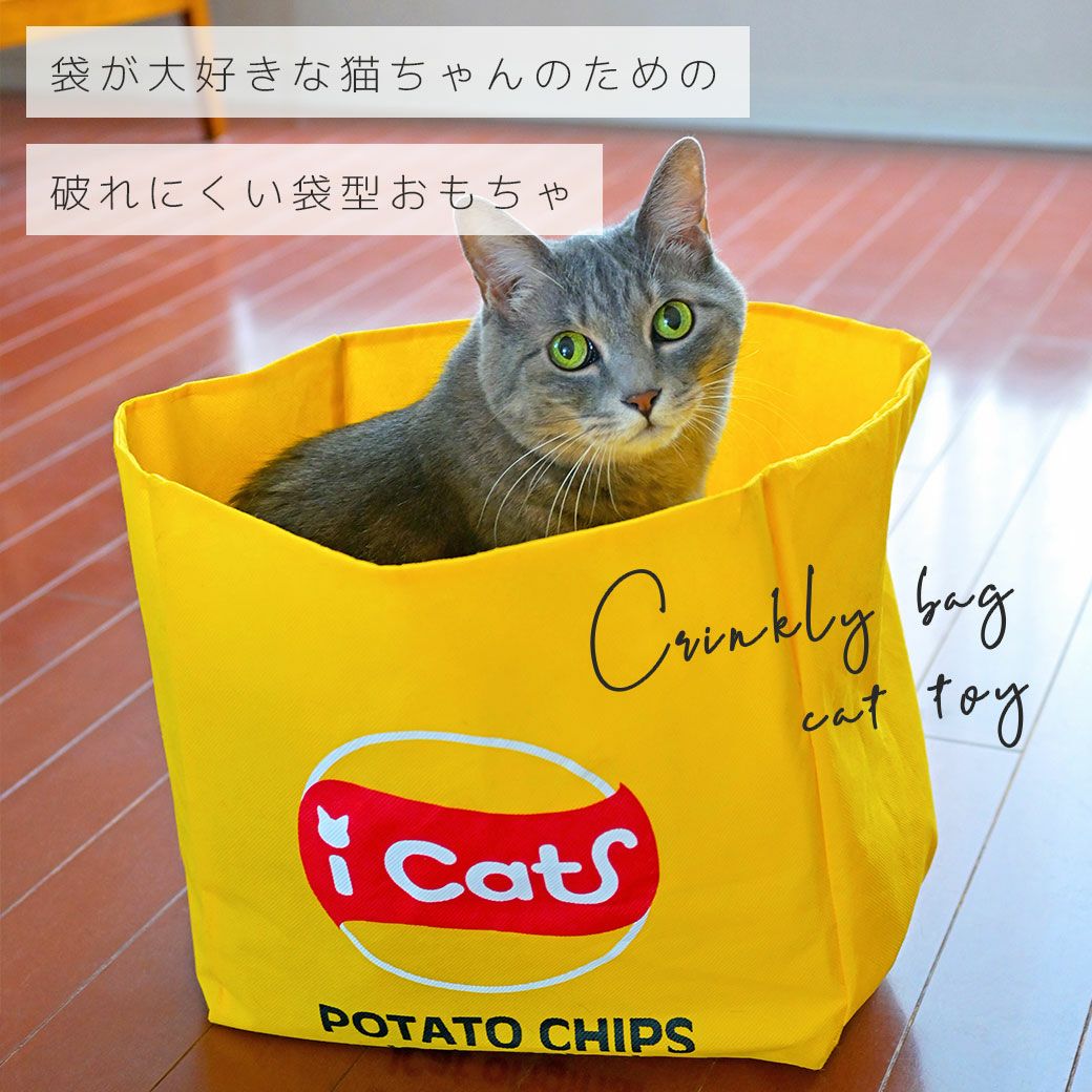 MORTEX ごねこ MORTEX ごねこ MORTEX/モールテックス - SAND INTENSE | TECTURE