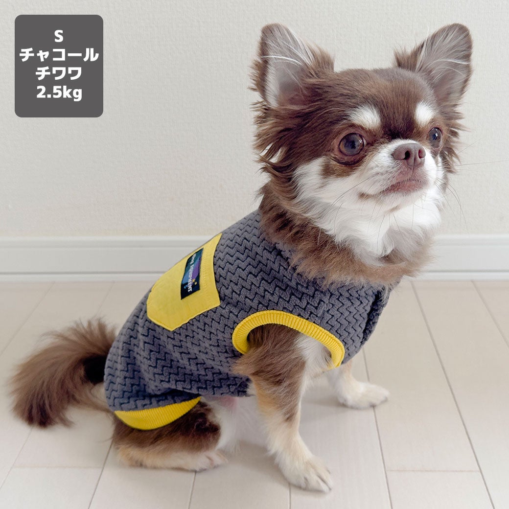 チワワ2.5kg(首20/胴35/丈33cm)のピクルスくんはチャコールのSを着用