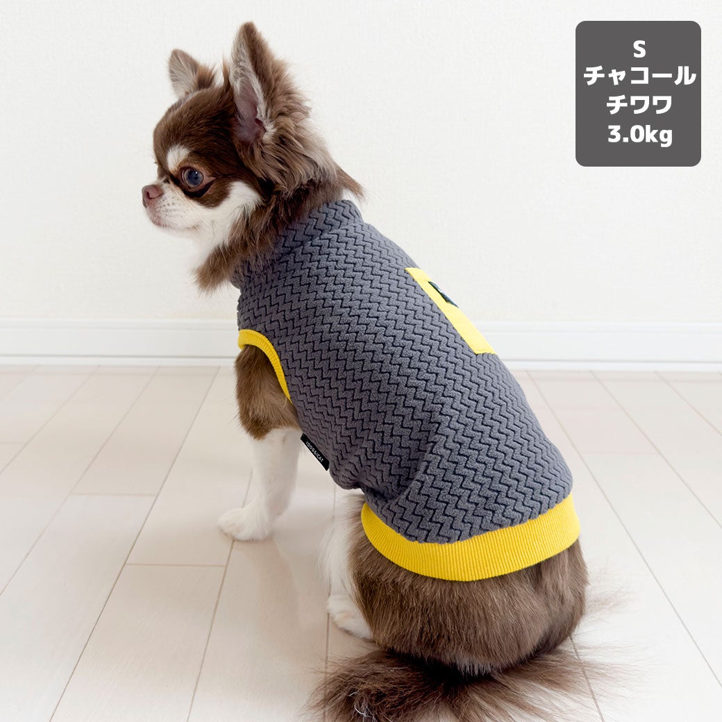 チワワ3.0kg(首21/胴36/丈33cm)のオリーブくんはチャコールのSを着用