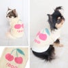 柄はiDogオリジナル！