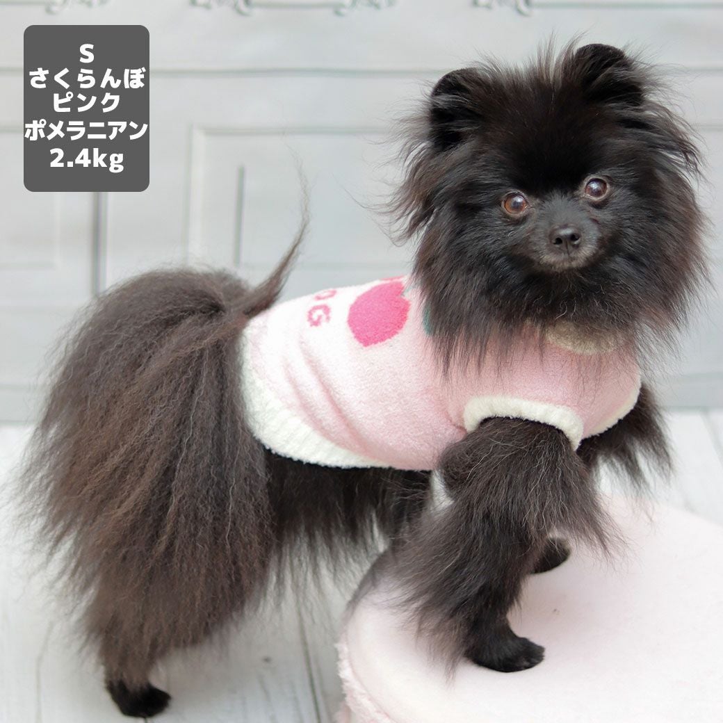ポメラニアン2.4kg(首19/胴30/丈26cm)のはちみつちゃんはさくらんぼピンクのSを着用