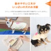 動きやすい工夫がいっぱいの犬のお洋服