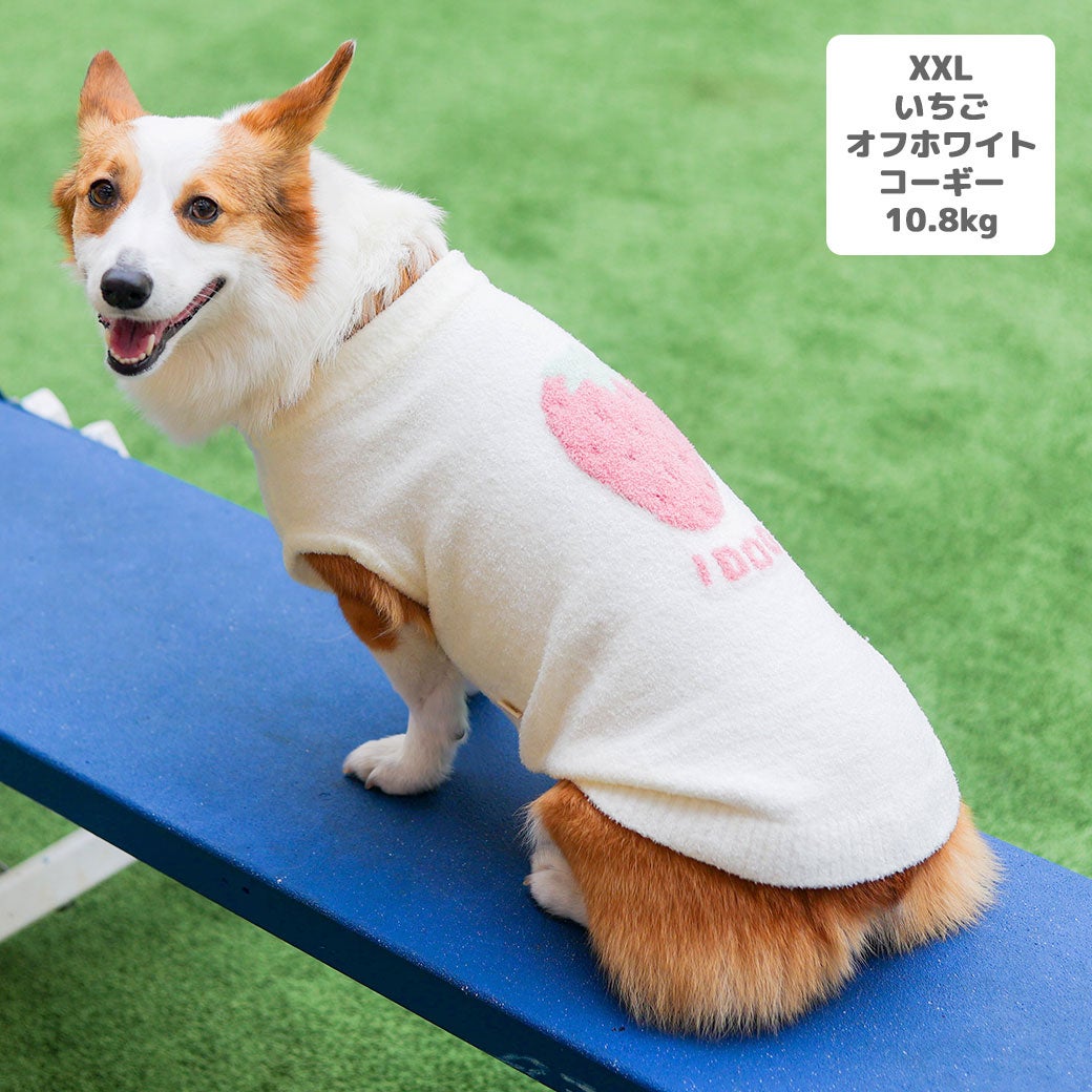 コーギー10.8kg(首37/胴52/丈40cm)のラテちゃんはいちごオフホワイトのXXLを着用