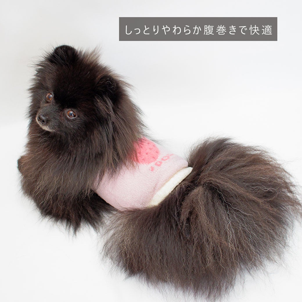 iDogふわもこ腹巻きアイドッグ