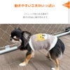 動きやすい工夫がいっぱいの犬用腹巻