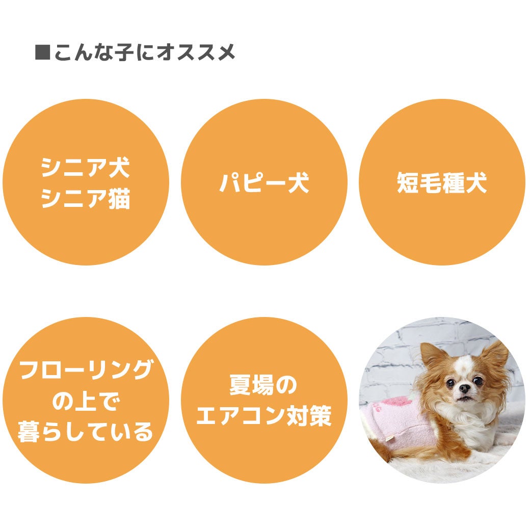 こんな子にオススメ