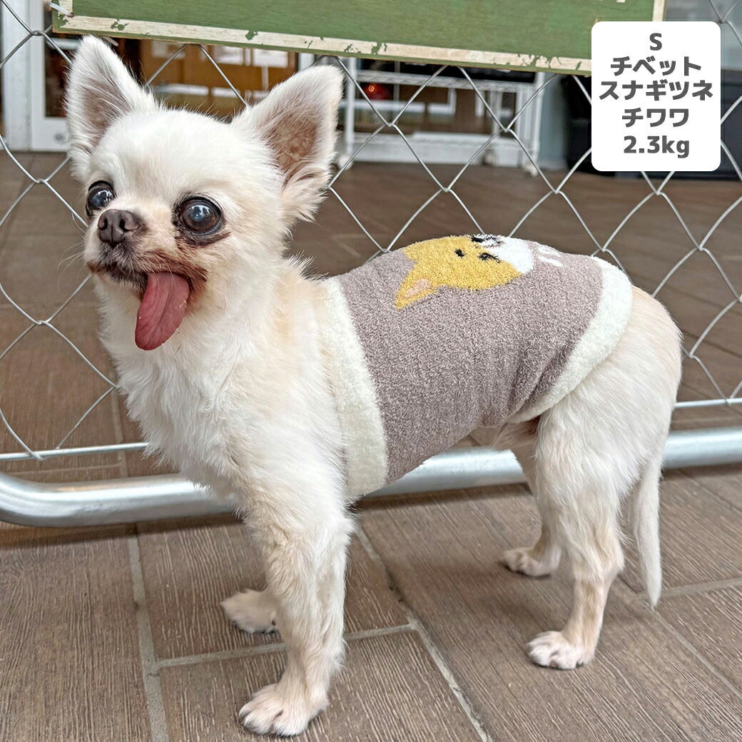 チワワ2.3kg(首19/胴28.5/丈25.5cm)のこむぎくんはチベットスナギツネのSを着用