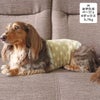カニヘンダックス5.7kg(首25/胴43/丈37cm)のハクくんはみずたまベージュのMを着用