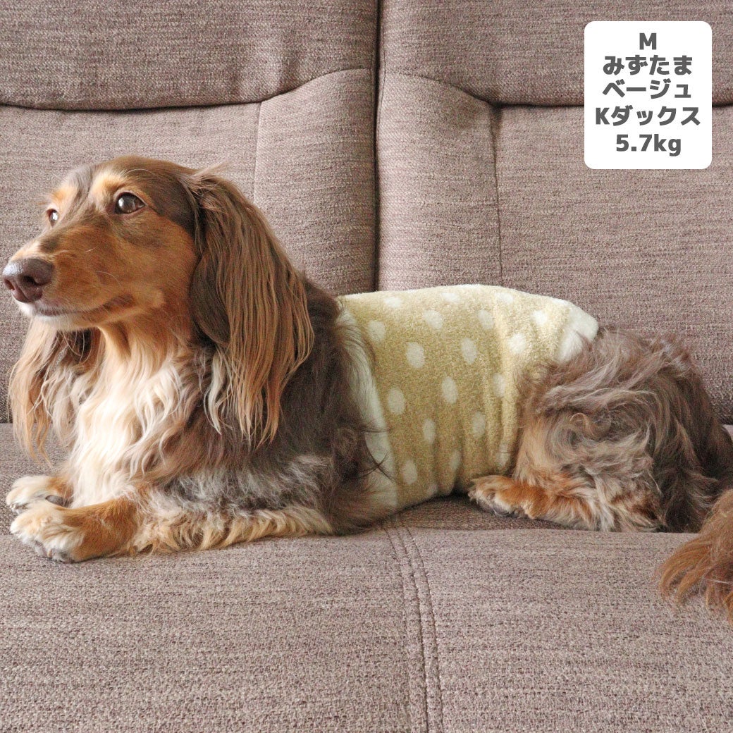 カニヘンダックス5.7kg(首25/胴43/丈37cm)のハクくんはみずたまベージュのMを着用