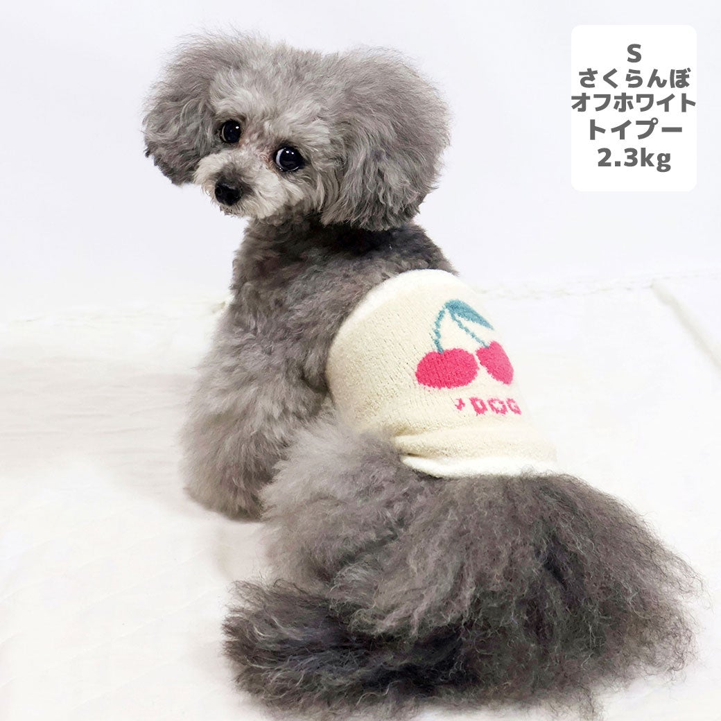 トイプー2.3kg(首18/胴31/丈24cm)のメルシーちゃんはさくらんぼオフホワイトのSを着用