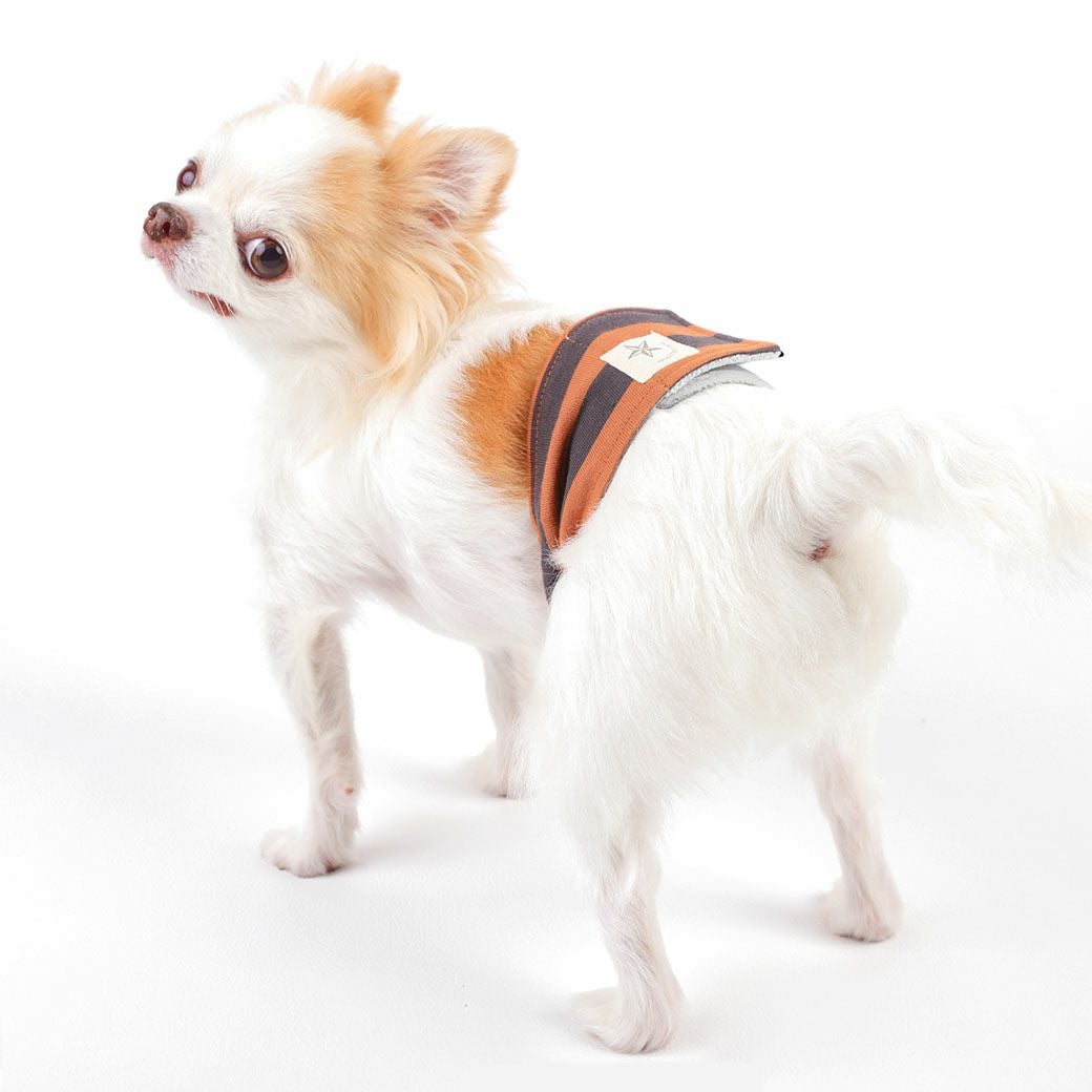 iDog やわらかマナーバンド アイドッグ-犬猫ペット用品通販 IDOG&ICAT