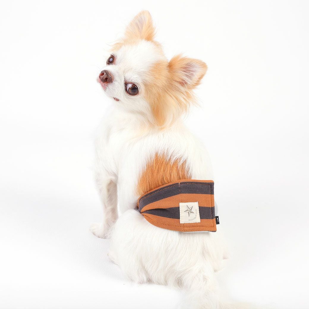 iDog やわらかマナーバンド アイドッグ-犬猫ペット用品通販 IDOG&ICAT