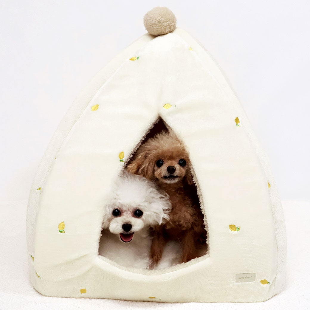 トイプー1.4kg(首18/胴29/丈18cm)のマユリちゃん【左】と1.0kg(首14/胴25/丈17cm)のミーナちゃん【右】はレモンを使用