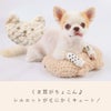 くま耳がちょこん♪シルエットがとにかくキュート！