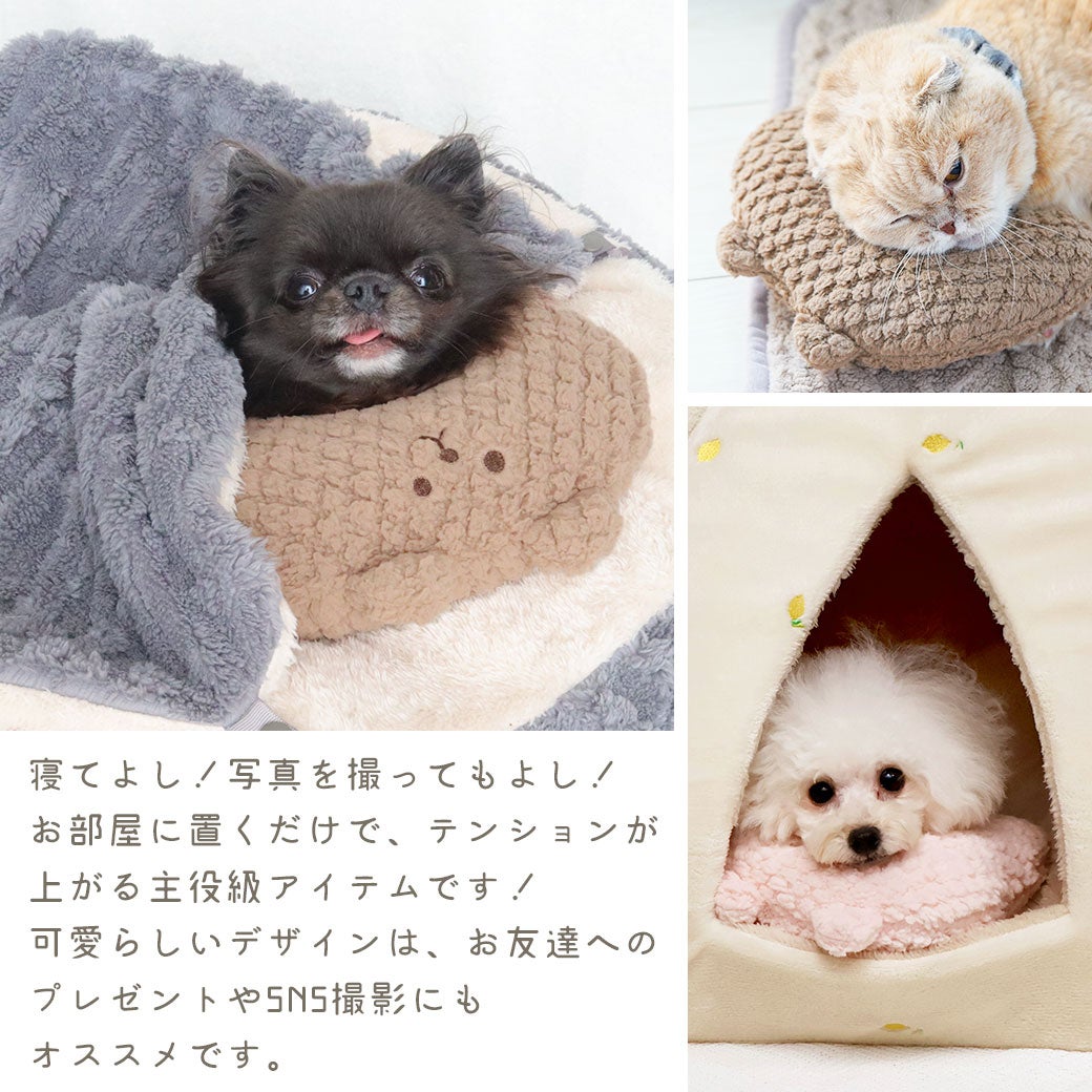 寝てよし！写真を撮ってもよし！