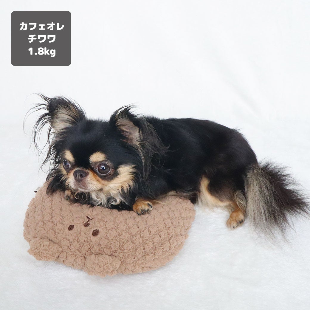 チワワ1.8kg(首19/胴29/丈21cm)のウメちゃんはカフェオレを使用