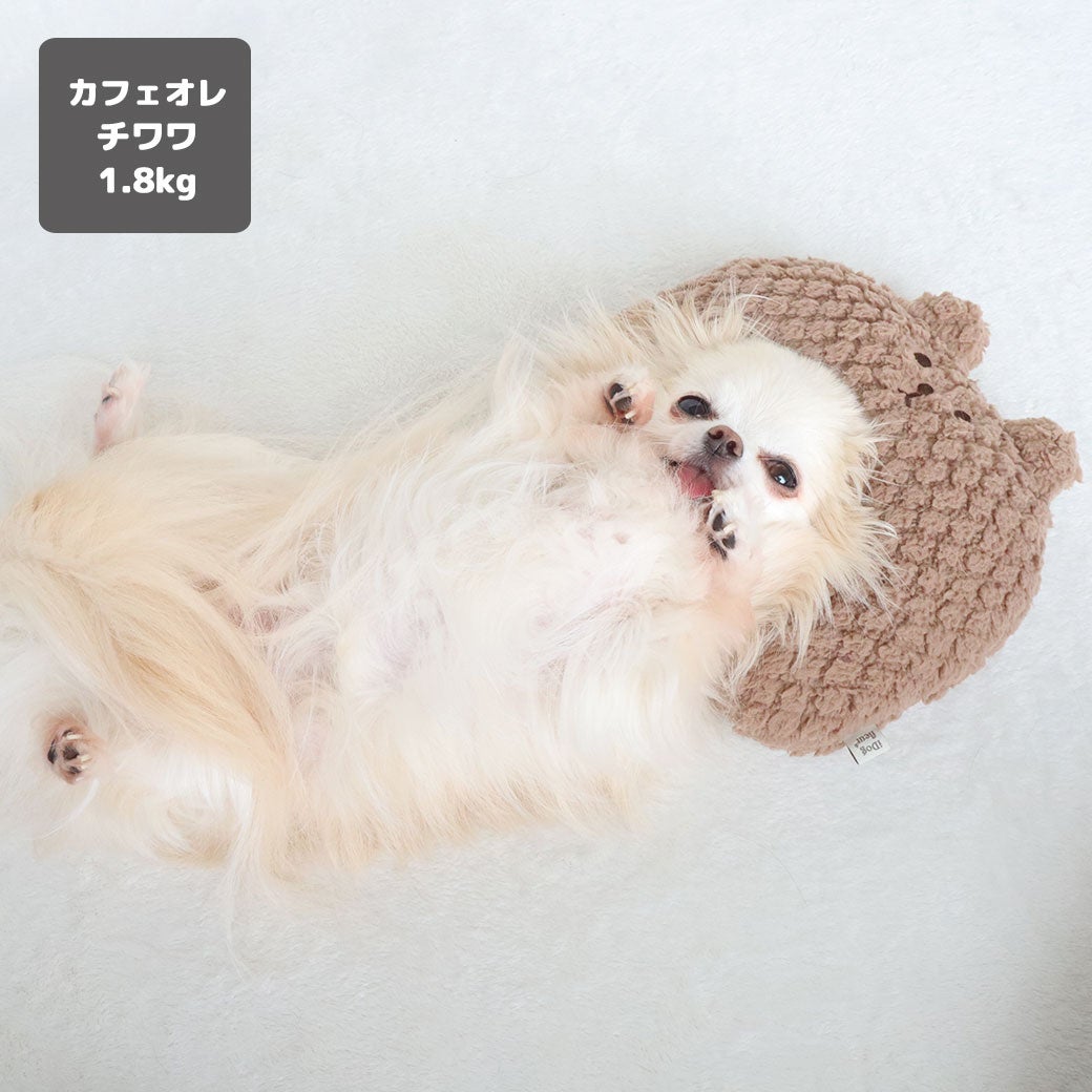 チワワ1.8kg(首18/胴29/丈21cm)のトロくんはカフェオレを使用