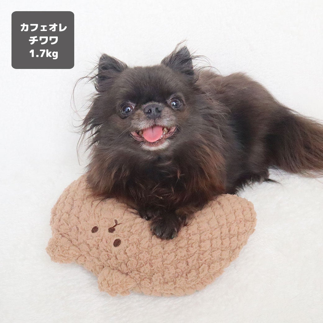 チワワ1.7kg(首19/胴29/丈19cm)の小桃ちゃんはカフェオレを使用