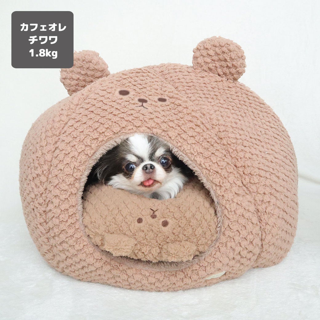 チワワ1.8kg(首18/胴29/丈17cm)の小真知ちゃんはカフェオレを使用