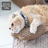 スコティッシュ4.5kgのコマリちゃんはカフェオレを使用