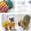 オシャレなカラー展開