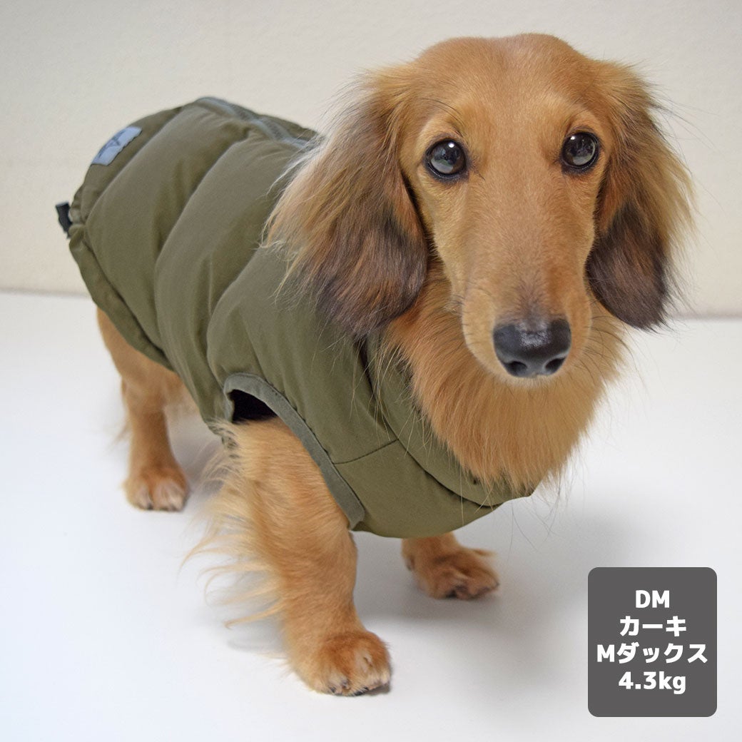 ミニチュアダックス4.3kg(首30/胴39/丈31cm)のALFaくんはカーキのDMを着用