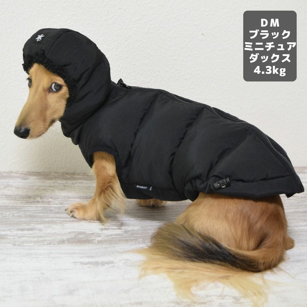 ミニチュアダックス4.3kg(首27/胴40/丈33cm)のALFaくんはブラックのDMを着用