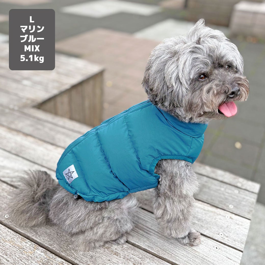 MIX5.1kg(首25/胴43/丈32cm)のごまくんはマリンブルーのLを着用