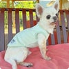 iDog UNAGE ウェルネスウェア 背中開き裏起毛タンク