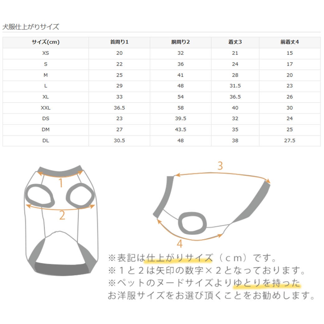 サイズ表