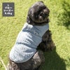 シーズー5.4kg(首26/胴38/丈38cm)のつぶくんはブルーのLを着用