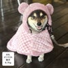 柴犬8.7kg(首32/胴52/丈37cm)のチョコプリンちゃんはピンク26のXXLを着用