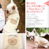 寒い日のおしゃれも楽しい「iDogfleur」のあったか犬用タンクトップ