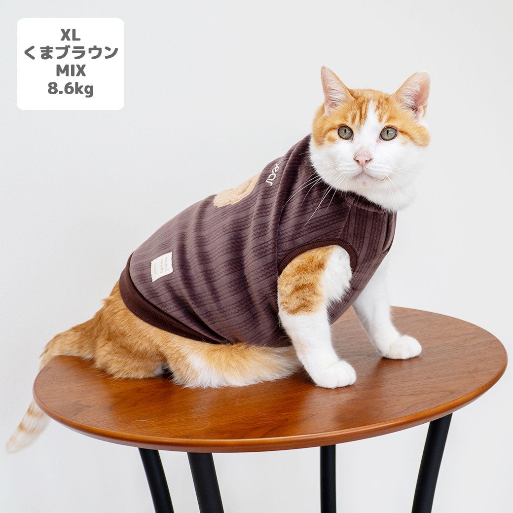 MIX8.6kg(首25/胴54/丈34cm)のゆづるくんはくまブラウンのXLを着用