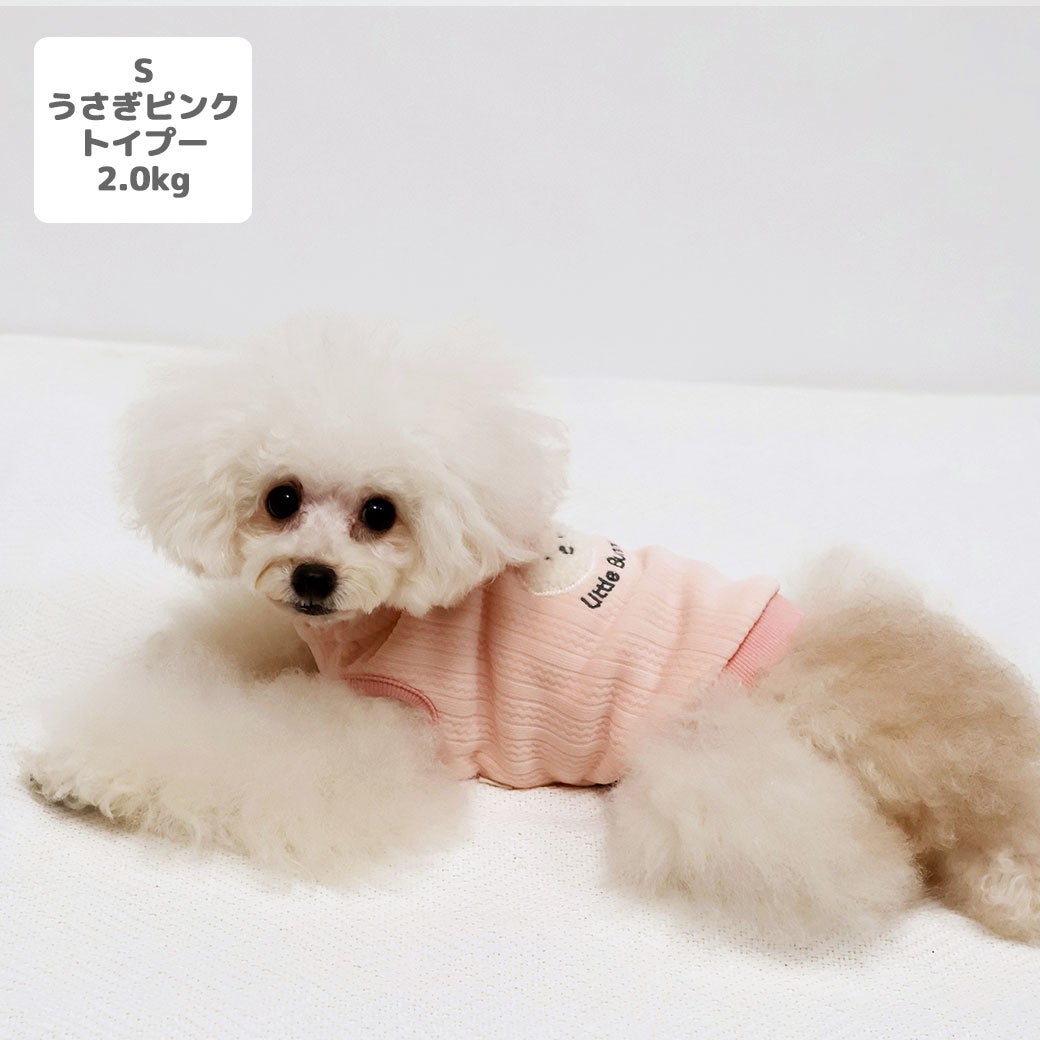 トイプー2.0kg(首18/胴30/丈22cm)のメリナちゃんはうさぎピンクのSを着用