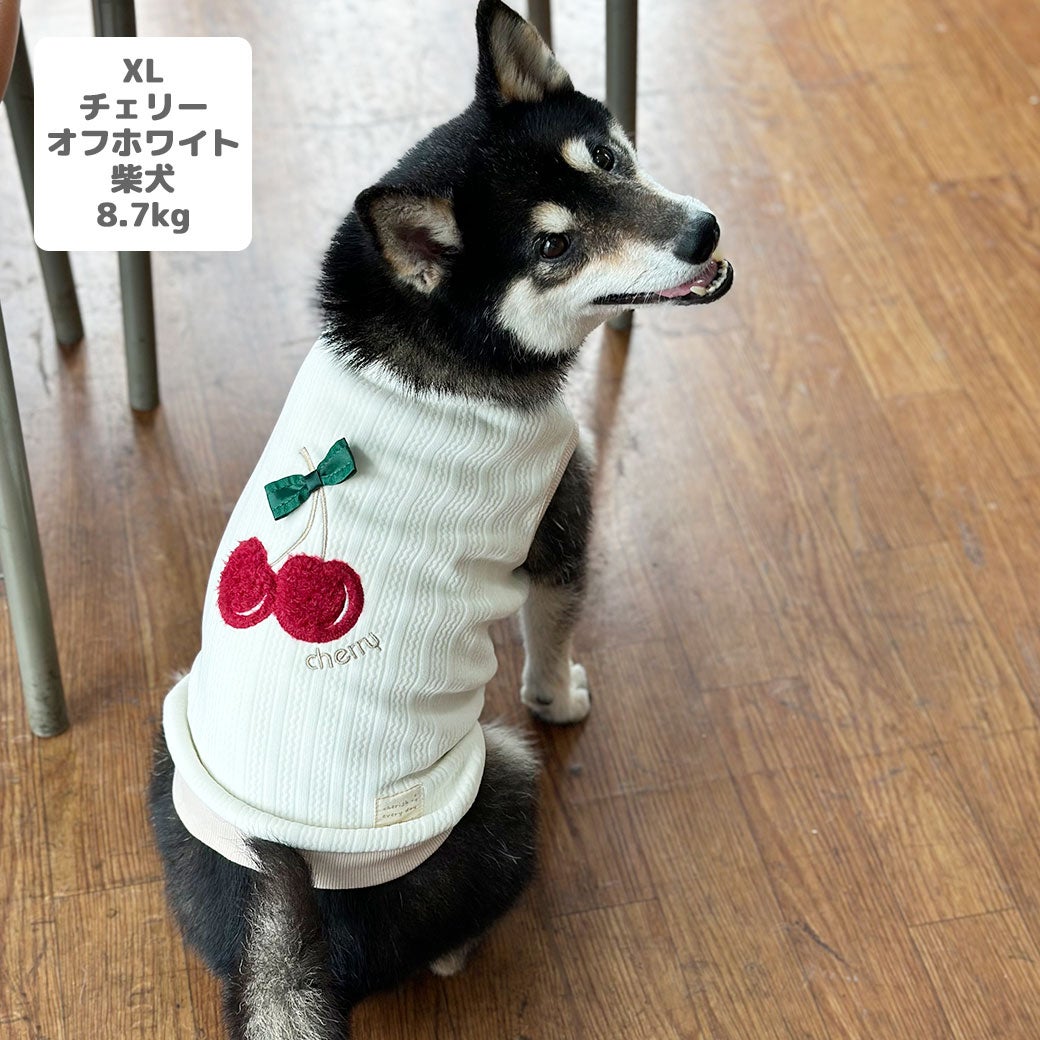 柴犬8.7kg(首32/胴52/丈37cm)のチョコプリンちゃんはチェリーオフホワイトのXLを着用