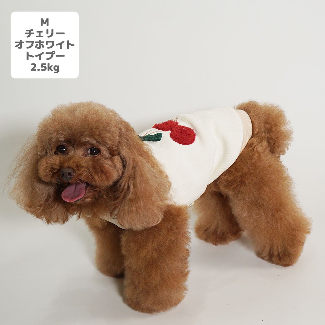 プードル2.5kg(首19/胴31/丈26cm)のグミちゃんはチェリーオフホワイトのMを着用