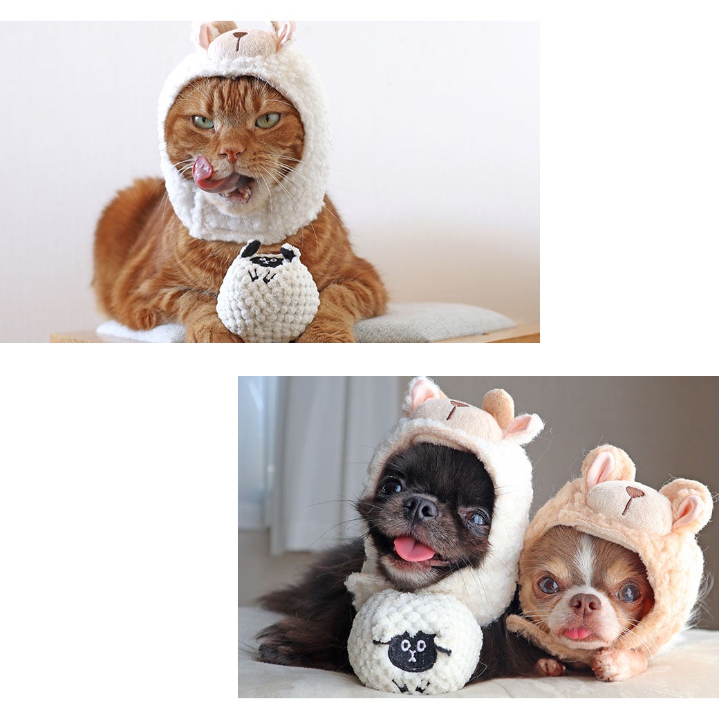 iDogオリジナルのユニークなデザイン