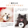 愛犬とのコミュニケーション
