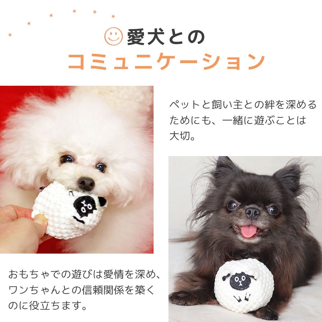 愛犬とのコミュニケーション