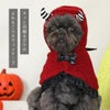 ハロウィンケープ